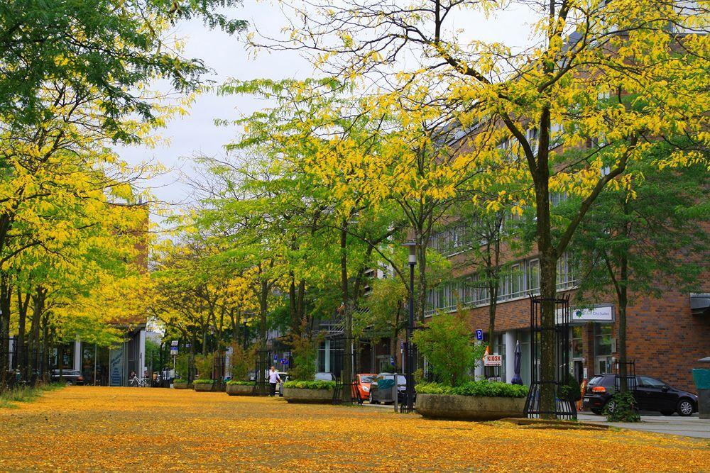 Essen City Suites Zewnętrze zdjęcie